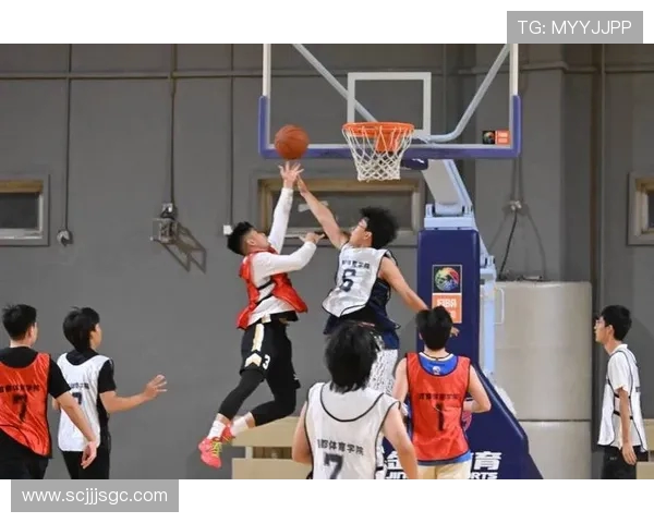 以篮球为纽带探索团队合作与拼搏精神在青春成长中的力量 以篮球为纽带探索团队合作与拼搏精神在青春成长中的力量