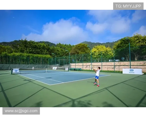 从网球运动的发展看现代竞技体育精神与青少年成长的深远影响