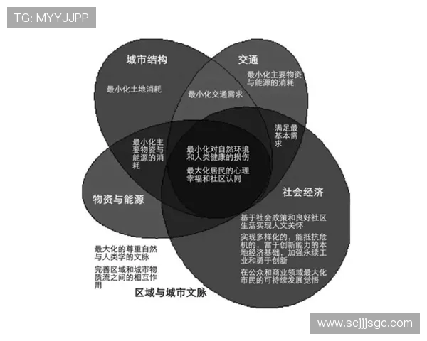 大型国际体育赛事促进区域经济融合与城市文化交流的综合作用研究