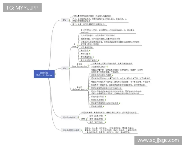 体育竞技与全民健身融合发展助力健康中国建设的路径探析