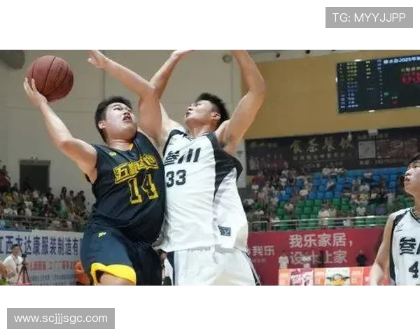 篮球魅力无限从青少年训练到职业赛场的成长之路探索