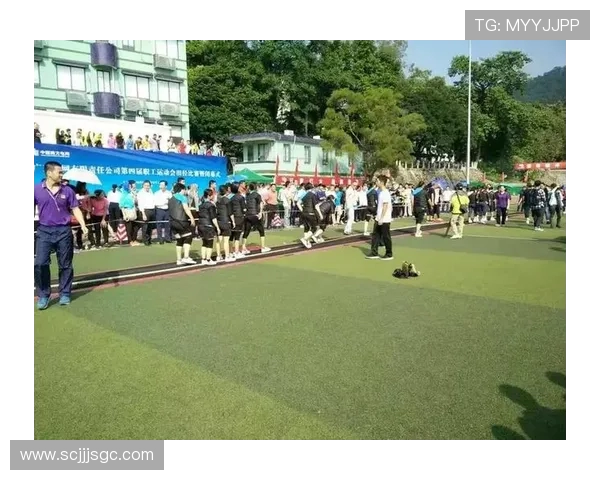 武汉篮球队的耐力之路：从拼搏到荣耀的蜕变与坚持