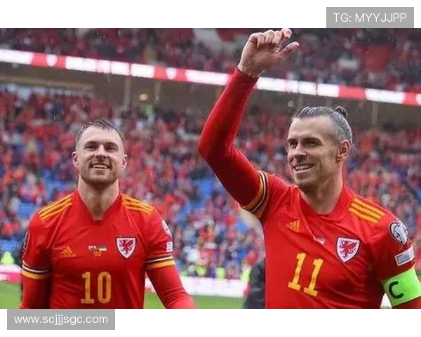 深圳排球队反击之路：战术调整与团队协作的深度剖析