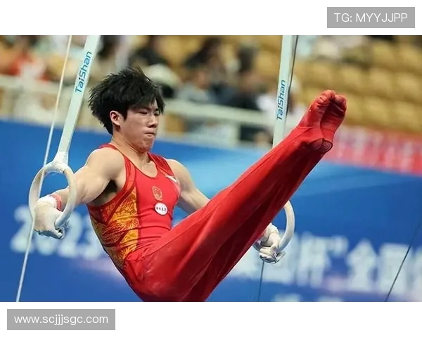 深入探讨杭州乒乓球队的力量表现及其对比赛成绩的影响分析 深入探讨杭州乒乓球队的力量表现及其对比赛成绩的影响分析