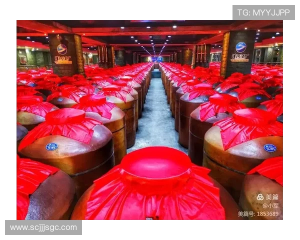 南京头排苏酒巅峰对阵引爆江南酒坛风云再起争锋荣耀时刻