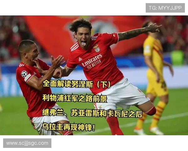 努涅斯的崛起与挑战:从新星到顶级前锋的奋斗之路 努涅斯的崛起与挑战:从新星到顶级前锋的奋斗之路